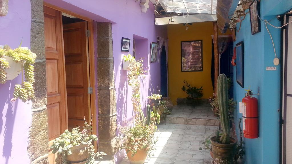 Casa De La Gringa Hostel Cuzco Eksteriør bilde